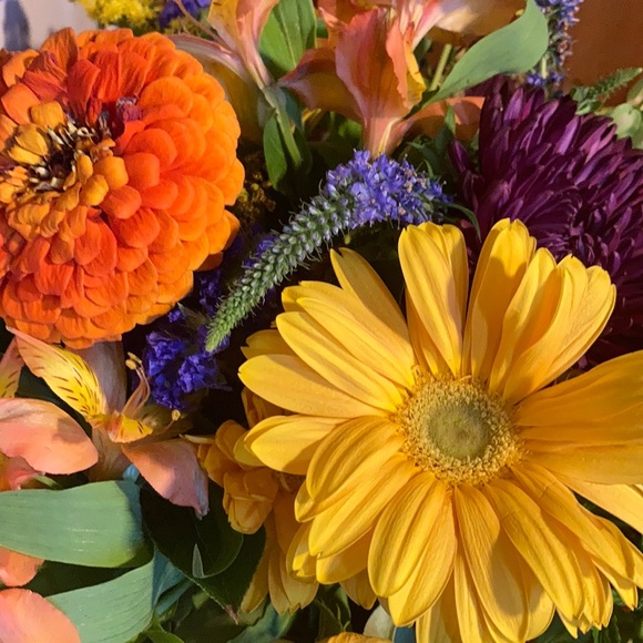 Meet your Posher, Jillian - Picture 2 of 2